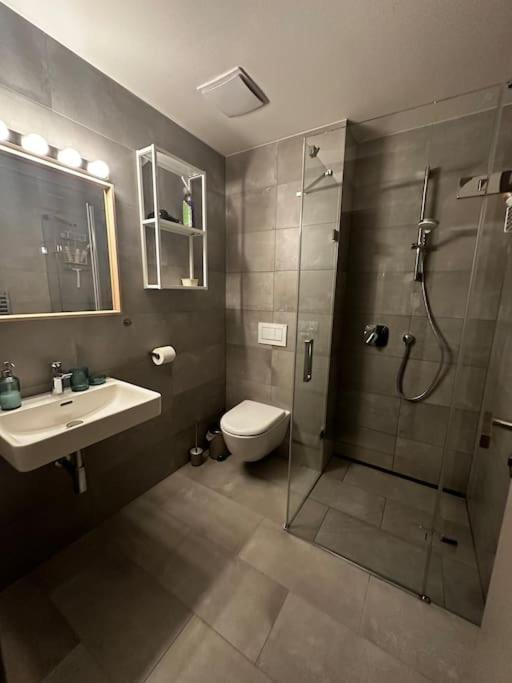 Apartament Horsky Apartman Achat Janov nad Nisou Zewnętrze zdjęcie